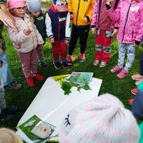 1747025790358 1747025790358