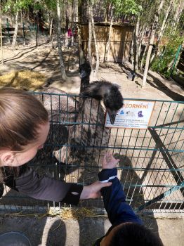 20250507_093503 20250507_093503