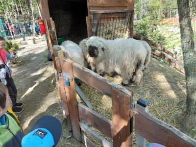 20250507_094121 20250507_094121