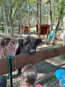 20250507_095425 20250507_095425