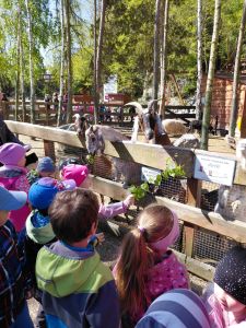 20250507_102023 20250507_102023