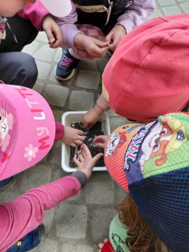 20250514_092643 20250514_092643