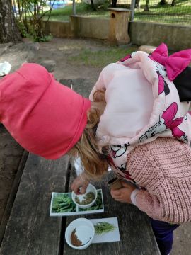 20250514_094513 20250514_094513