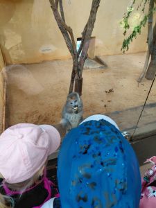 20250528_104855 20250528_104855