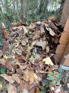 20251104_094639 20251104_094639