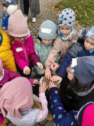 20251104_094954 20251104_094954