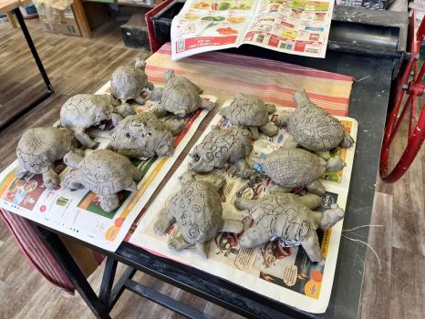 IMG-20250424-WA0012 IMG-20250424-WA0012